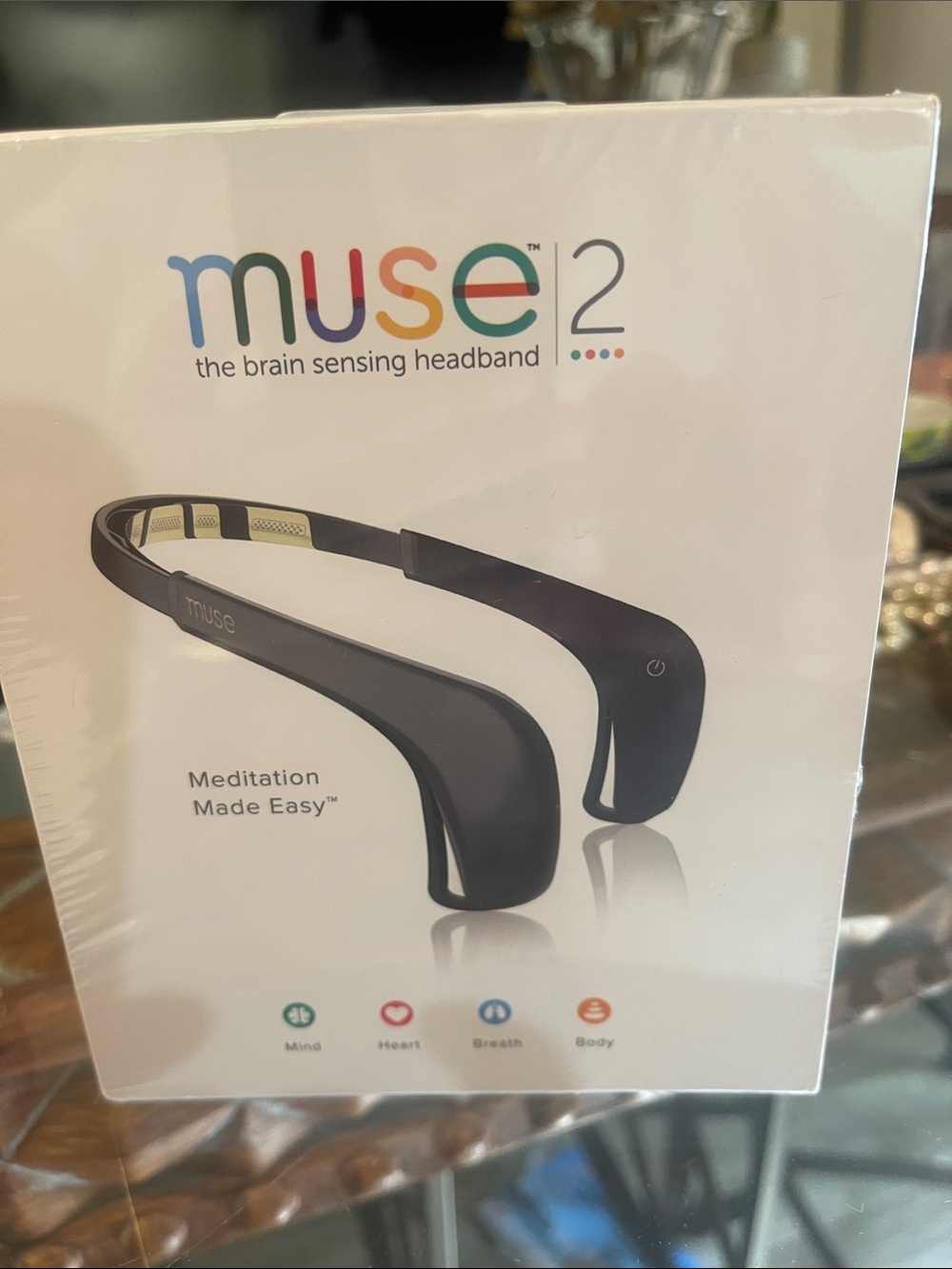 Muse 2 Brain Sensing Headband - Gray